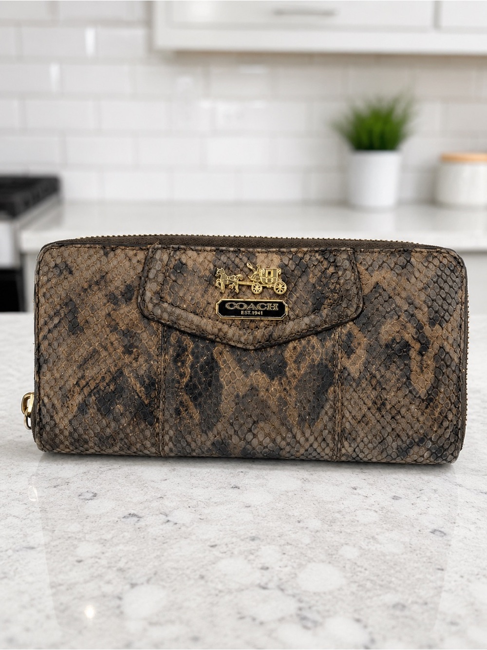 Coach Embossed Python/Snakeskin Leather Wallet